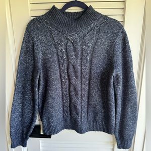 Banana Republic Dark Blue Sweater Size L
